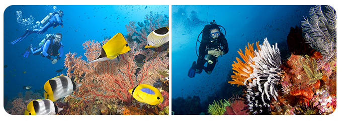 浮潜、体验潜、水肺潜水、自在潜究竟有什么区