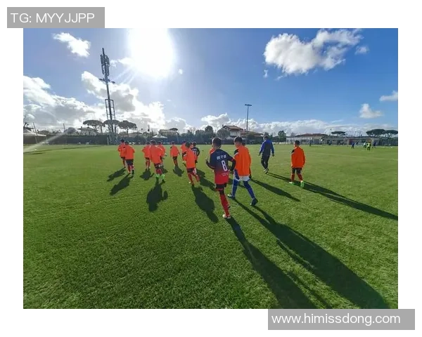 球星豪宅内的私人足球场揭秘看球星如何在家中享受比赛